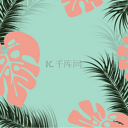 棕榈叶阴影图片_热带设计与龟背竹棕榈叶和绿色背