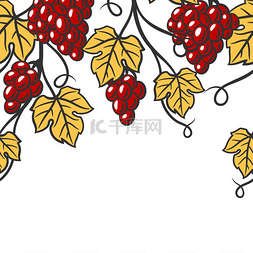 葡萄酒杯图片_葡萄树的无缝图案，有叶子和葡萄