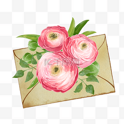 信封玫瑰图片_信封水彩花卉植物粉红色