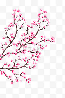 盛开桃花树枝图片_春天植物桃花盛开花枝树枝