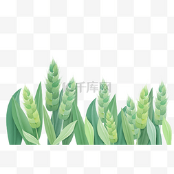 小满荠麦图片_小满节气中国传统二十四节气