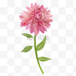 粉色花瓣元素装饰图片_可爱粉色花瓣水彩花卉大丽花