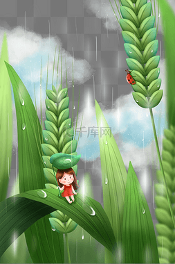 多雨图片_小满麦穗多雨季节女孩挡雨