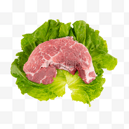 生鲜猪肉鲜肉肉块