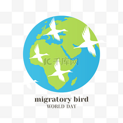 世界候鸟日图片_保护生物环保主题世界候鸟日