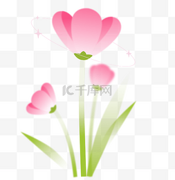 植物鲜花素材图片_春天春日弥散风花朵