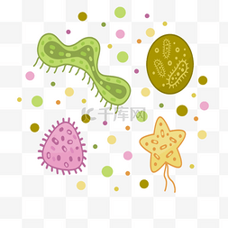 细菌病毒微生物感染图像