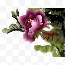 红色紫色的花朵图片_紫色的牡丹