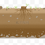 土壤里的树根