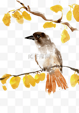 秋季的小鸟水墨