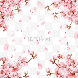 粉色樱花春季花瓣光效飘落