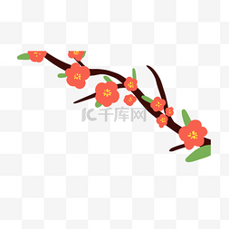 越南春节红色梅花插图