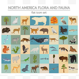 北美洲植物群和动物群扁平元素。