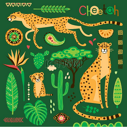 动物设计插图图片_野生异国情调的猫科动物、热带植