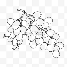 葡萄挂葡萄剪贴画黑白