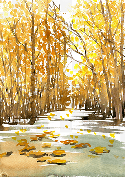 公园小路图片_金色的秋天