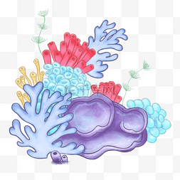 海底海洋植物图片_藻类海底珊瑚礁