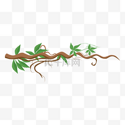 干秃的藤蔓图片_植物藤蔓绿色植物