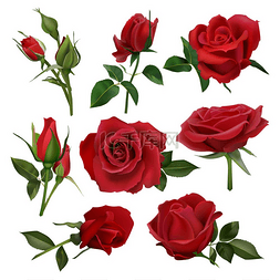朱红色装饰图片_逼真的装饰玫瑰花束。