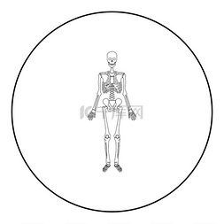 人轮廓线图片_骷髅人图标在圆形黑色矢量插图图