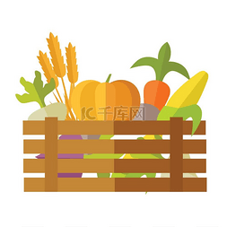 新鲜蔬菜胡萝卜图片_市场载体上的新鲜蔬菜。