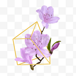 几何金框婚礼花卉杜鹃花淡紫色