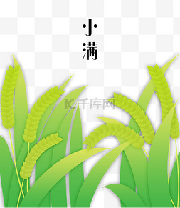 小满节气中国传统二十四节气夏天