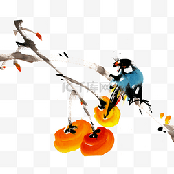 树枝彩色水墨画图片_柿子与小鸟