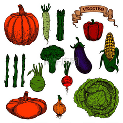 卷心菜玉米图片_复古雕刻秋季收获南瓜、茄子、甜