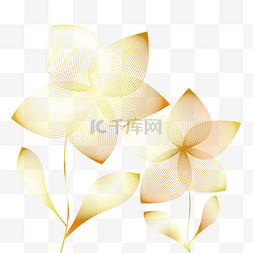 描线叶子图片_金色描线花朵花瓣