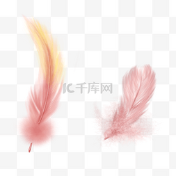 抽象毛绒图片_粉色和金色组合的羽毛
