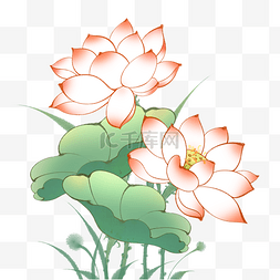 中国风典雅花卉植物古风荷花海报
