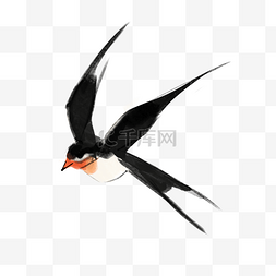 飞翔的水墨燕子动物鸟类