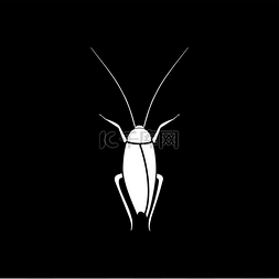 错误的标志图片_蟑螂是图标.. 蟑螂是图标。