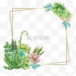 浪漫植物花环图片_多肉边框金线绿色水彩植物方形线
