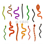 Vector flat snakes collection isolted on shite background