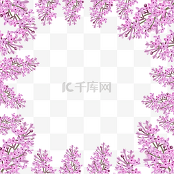 方块粉色图片_粉色植物水彩丁香花卉婚礼边框