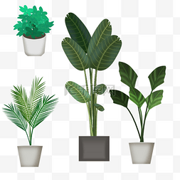 室内植物盆栽图片_绿色室内植物盆栽