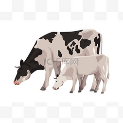 卡通母牛图片_母牛和小牛