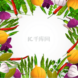 罗勒属植物图片_蔬菜和香料背景蔬菜和香料装饰框