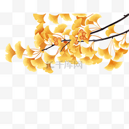 中国风秋季银杏叶