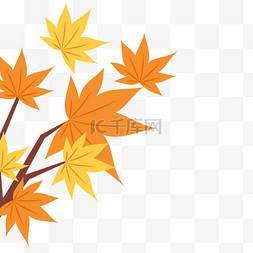 秋天秋分立秋树叶枫树叶树枝