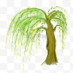一棵柳树植物树