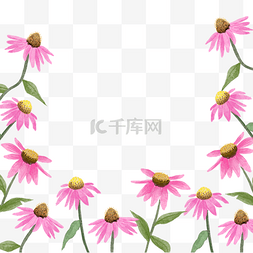 花朵单色图片_紫锥花水彩花卉粉色自然边框