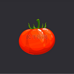 植物番茄图片_带有绿色茎的红番茄在逼真的设计