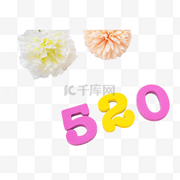 520情人节鲜花