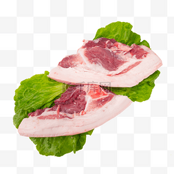 猪肉块图片图片_生鲜猪肉肉块