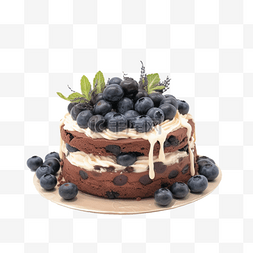 蓝莓巧克力蛋糕1