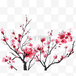 梅花玫红图片_樱花盛开树枝水彩风格