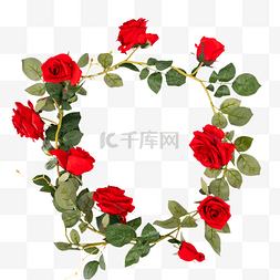 红色花藤植物图片_红色月季花花藤花环